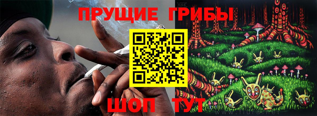 Псилоцибиновые грибы GOLDEN TEACHER  Вход с VPN  Кропоткин 